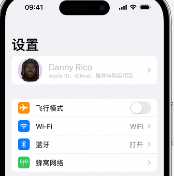 appleID维修服务iPhone设置中Apple ID显示为灰色无法使用