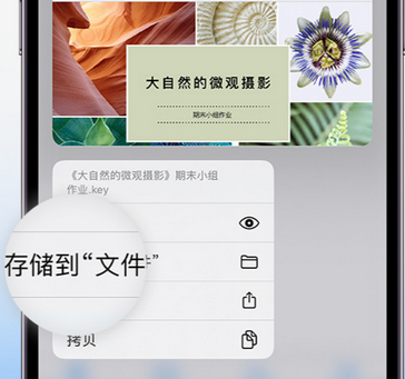 apple维修中心分享iPhone文件应用中存储和找到下载文件